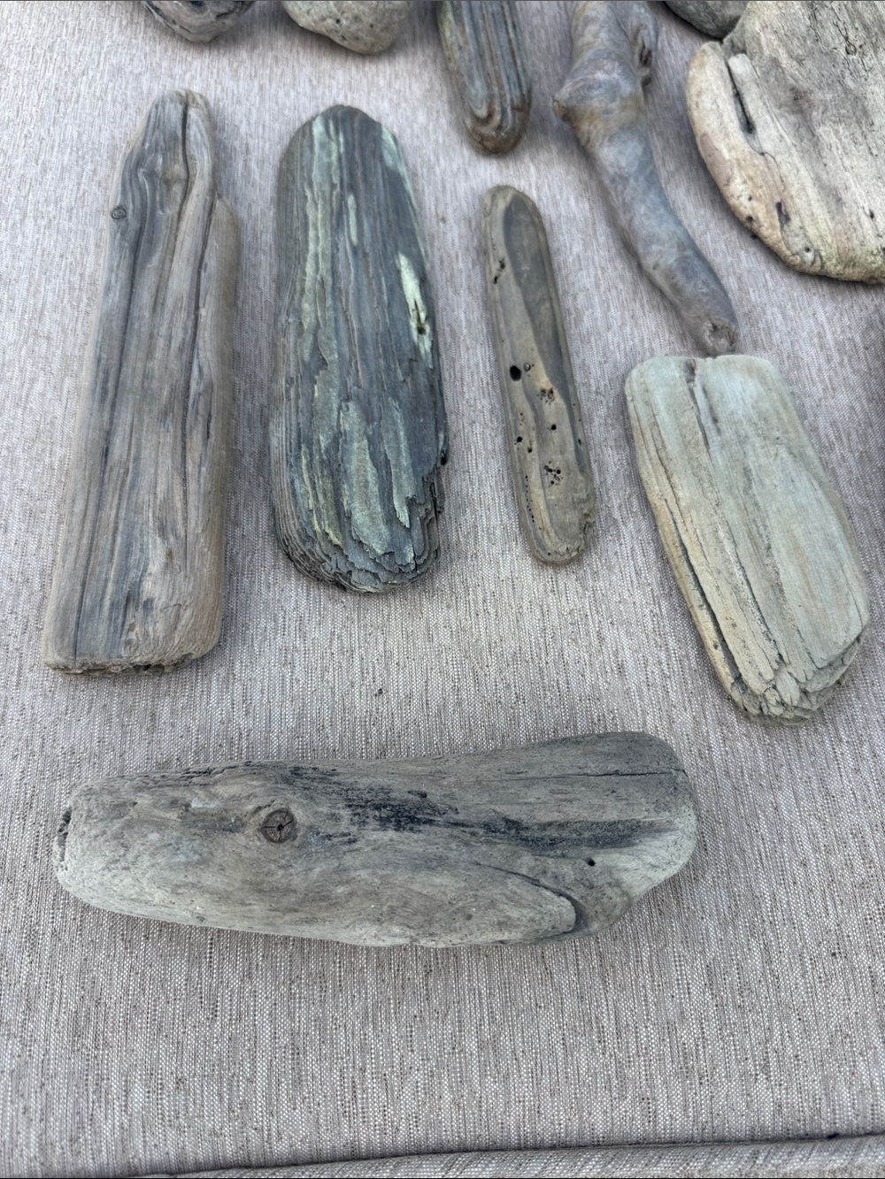20 Pacific Beach Natural Driftwood Collection - Assorted Beach Wood Pieces - Picture 10 of 10